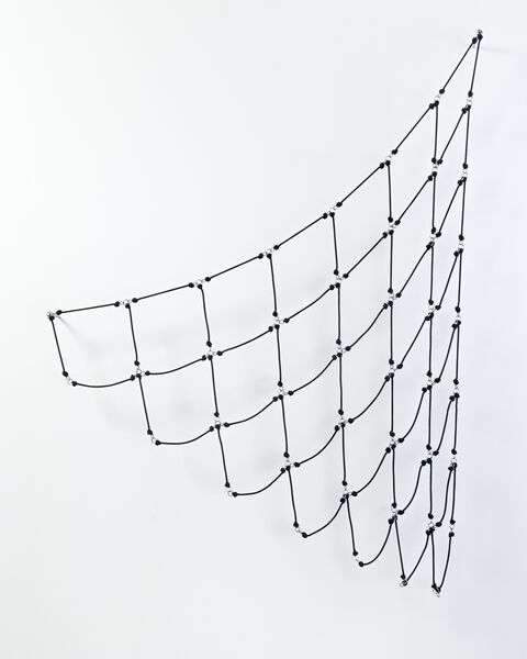 Daniel G. Hill—Black Fishnet, 2018