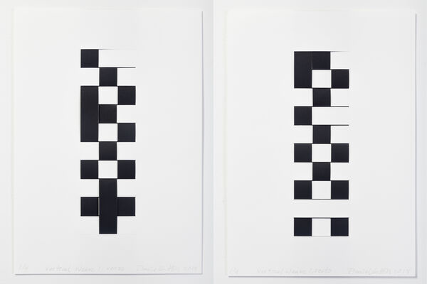 Daniel G. Hill—Vertical Weave 1, verso and recto, 2018