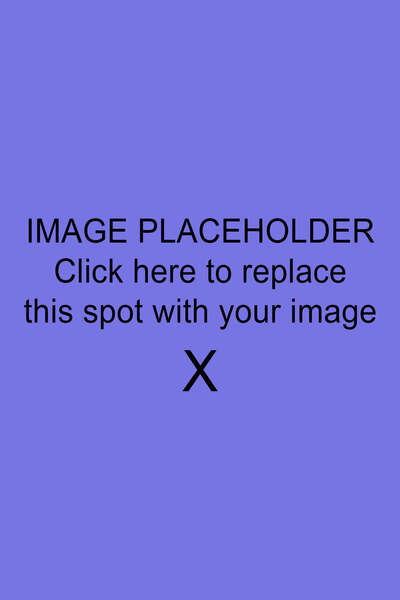 painting entitled Blue Vio by Jane Doe