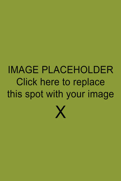 painting entitled Yellow Green by Jane Doe