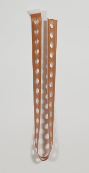 Artwork titled Skinny Dip 2 by Mary Schiliro