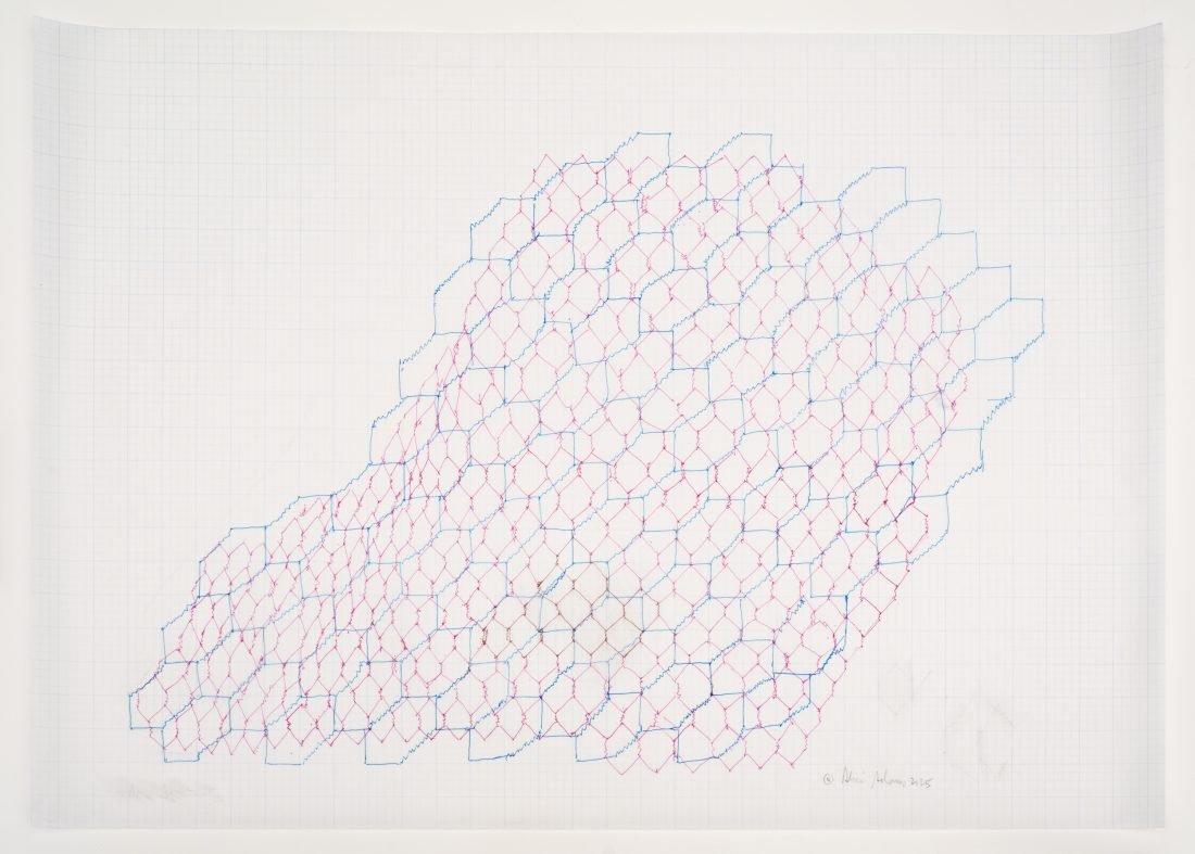 Drawing by Alice Adams